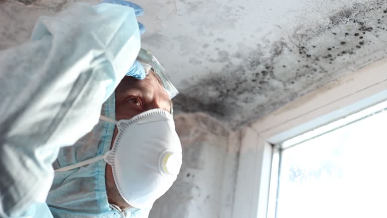 Why You Should Choose Our Mold Remediation Services in Chelan, WA